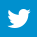 Twitter logo (opens website in new tab)